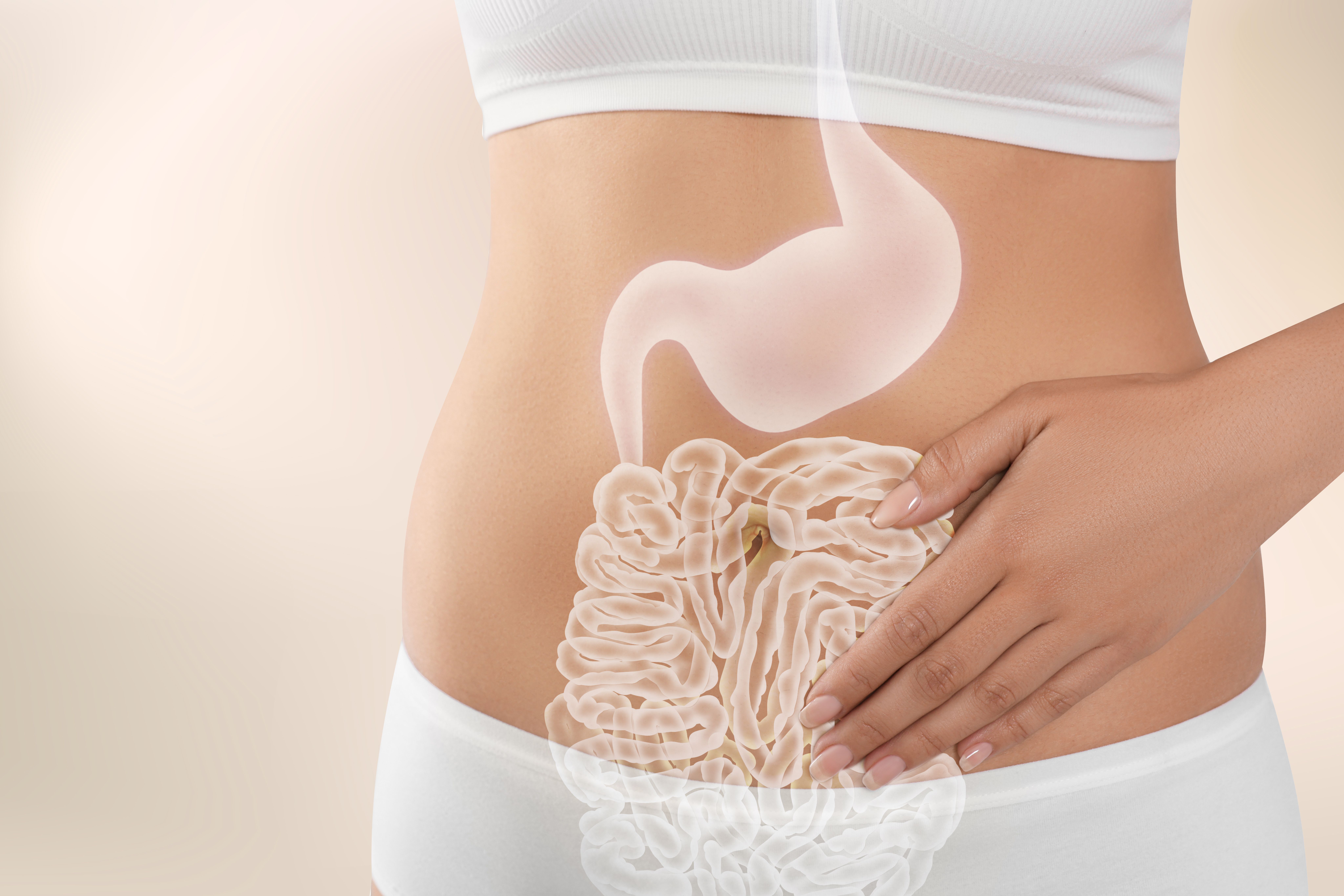 Medical image depicting the gut-brain connection