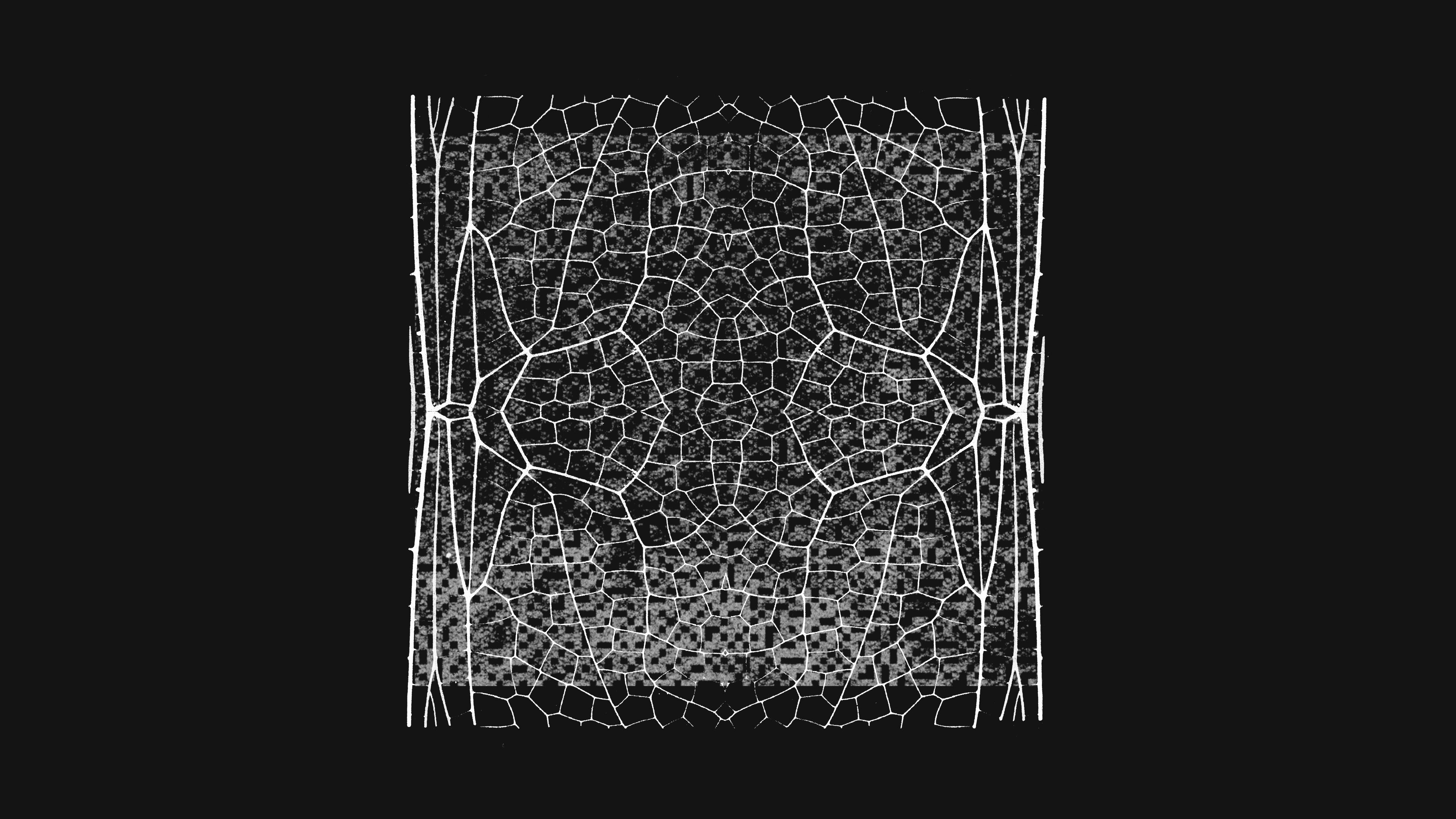 Visualization of security solutions related to Project Glasswing