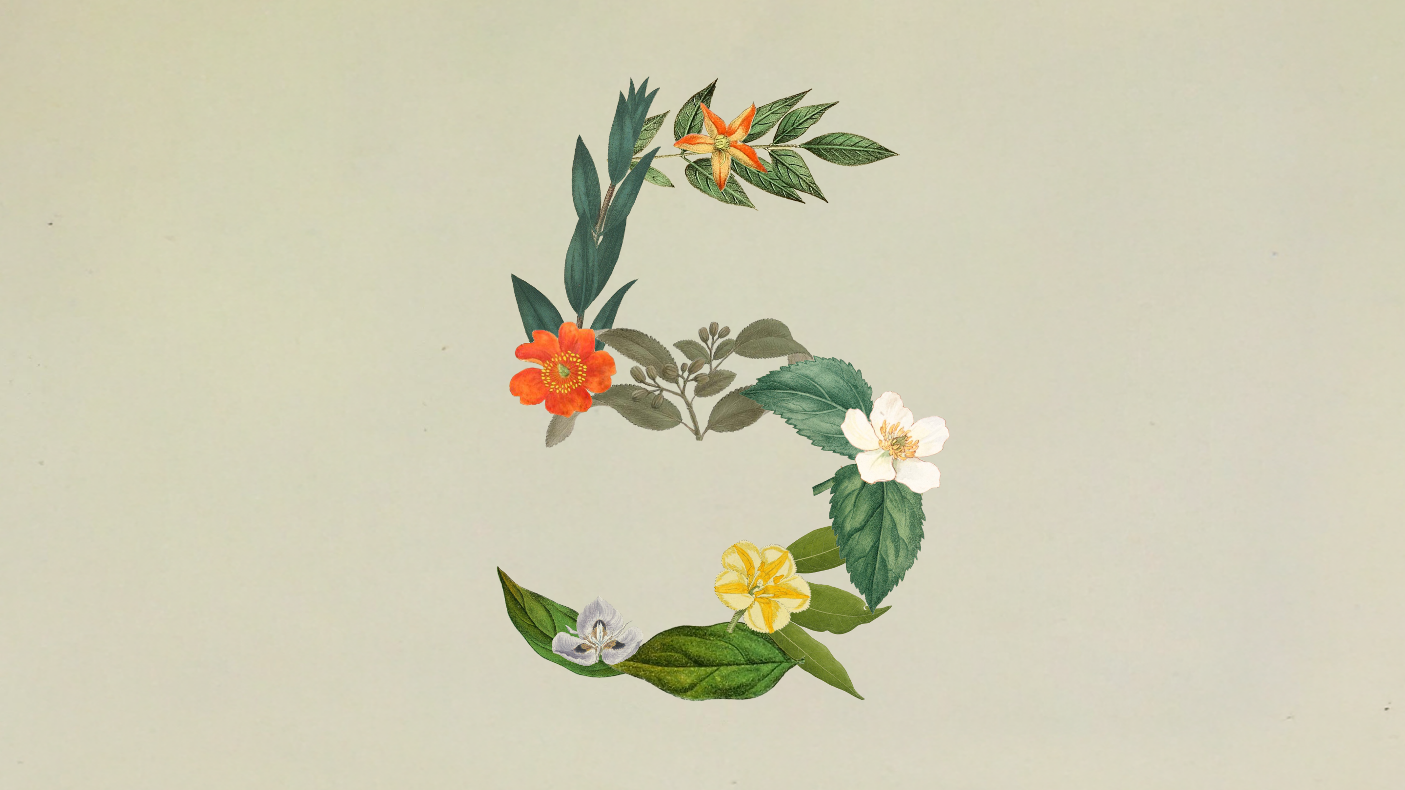 Anthropic의 최신 Claude 모델 공개 페이지