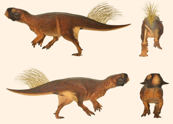 Reconstruction of Psittacosaurus, a dinosaur type found in similar formations
