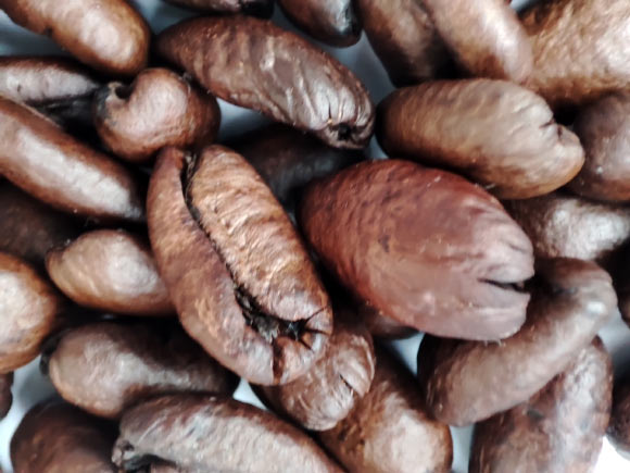 커피와 장뇌 축 관계를 보여주는 연구 이미지