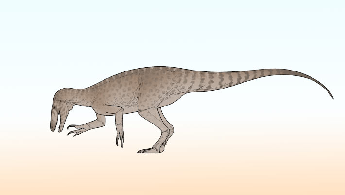 Rinconraptor pipoae reconstruction