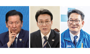 Democratic Party leadership competition