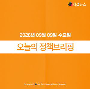 행정안전부 로고 및 정책 브리핑 관련 이미지