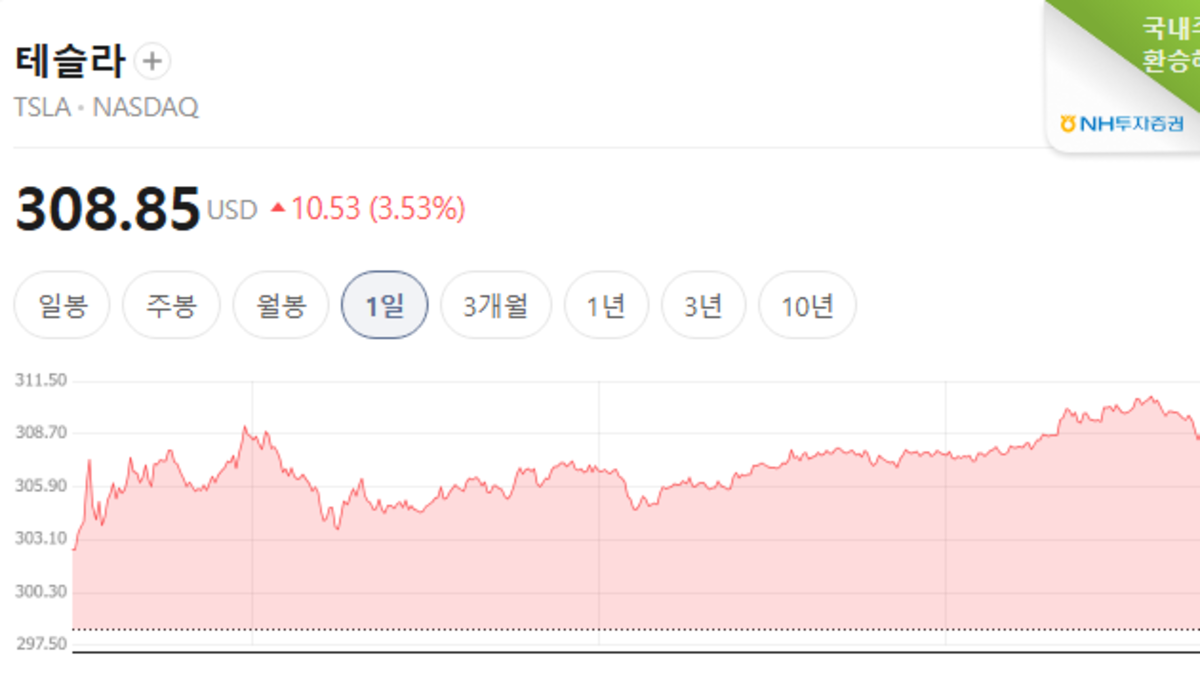 테슬라 주가 추이를 보여주는 차트