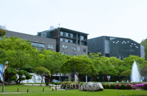 숭실대 2026입결 분석 베리타스알파