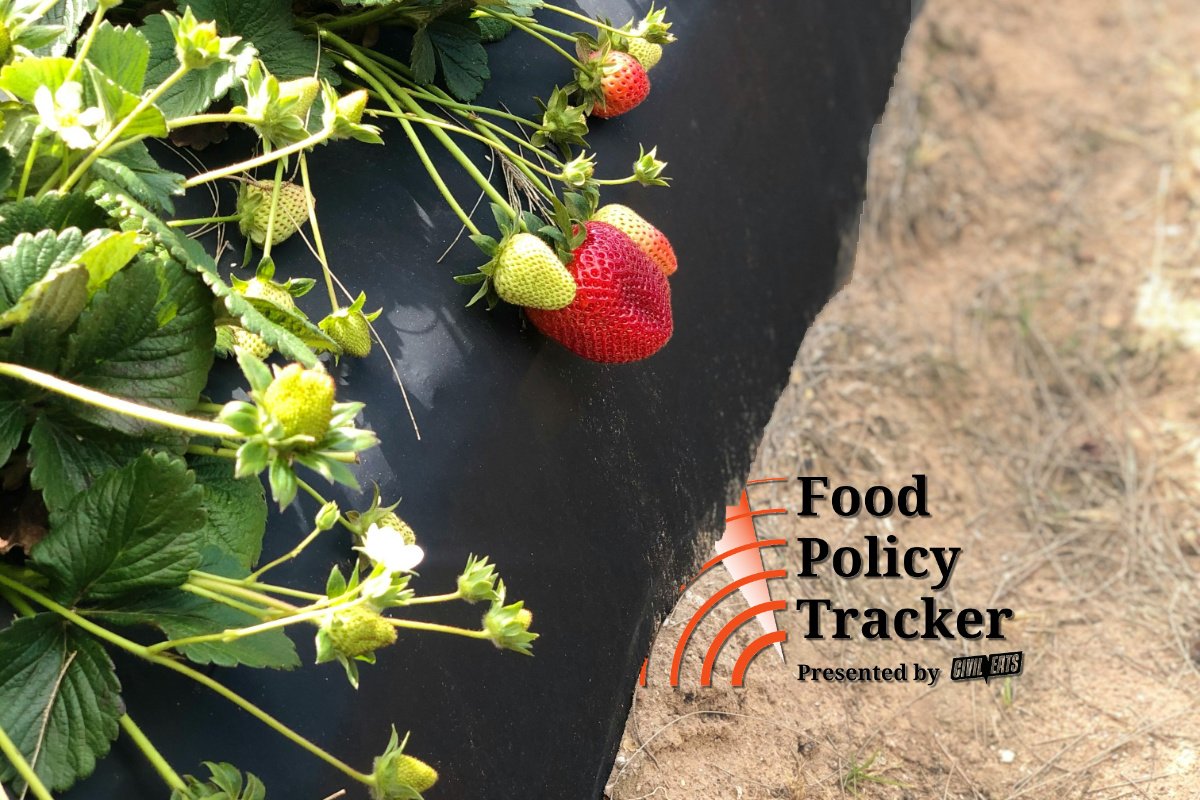 Lawmakers and advocates are pressing the USDA to release congressional funding for urban agriculture programs.