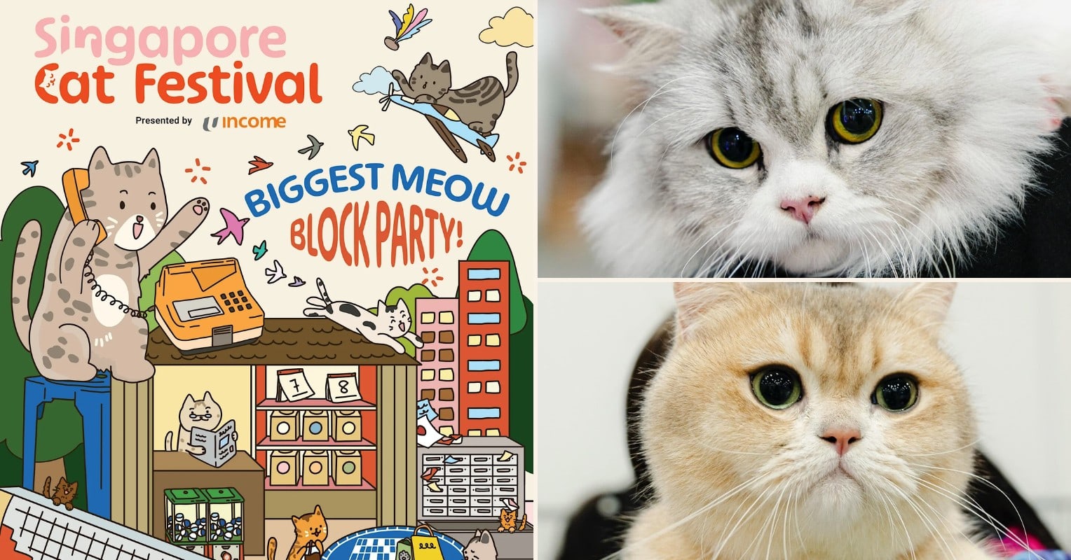 Singapore Cat Festival 2026 promotional image