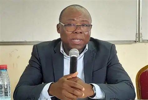 Graphic or photo related to ECOWAS integration or Professor Prao's analysis
