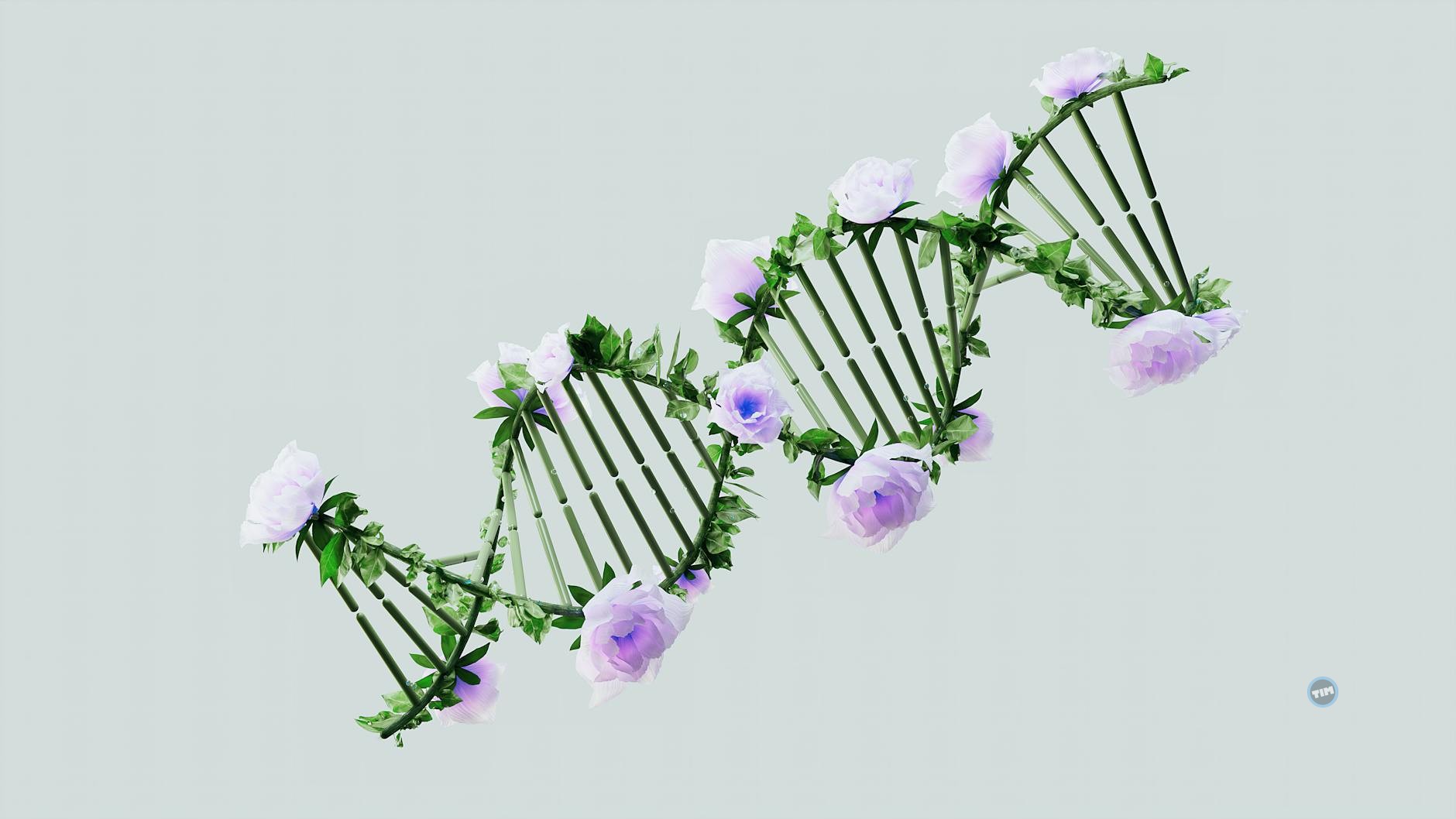 CRISPR Therapeutics stock chart showing recent volatility and upward trend