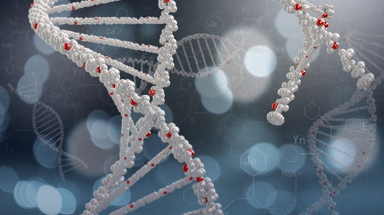 Circulating DNA fragment image illustrating new biomarker research in cancer immunotherapy