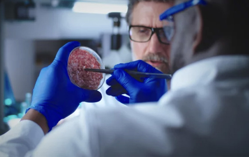 Cell-cultured meat lab sample — the focus of new Midwestern legislative efforts