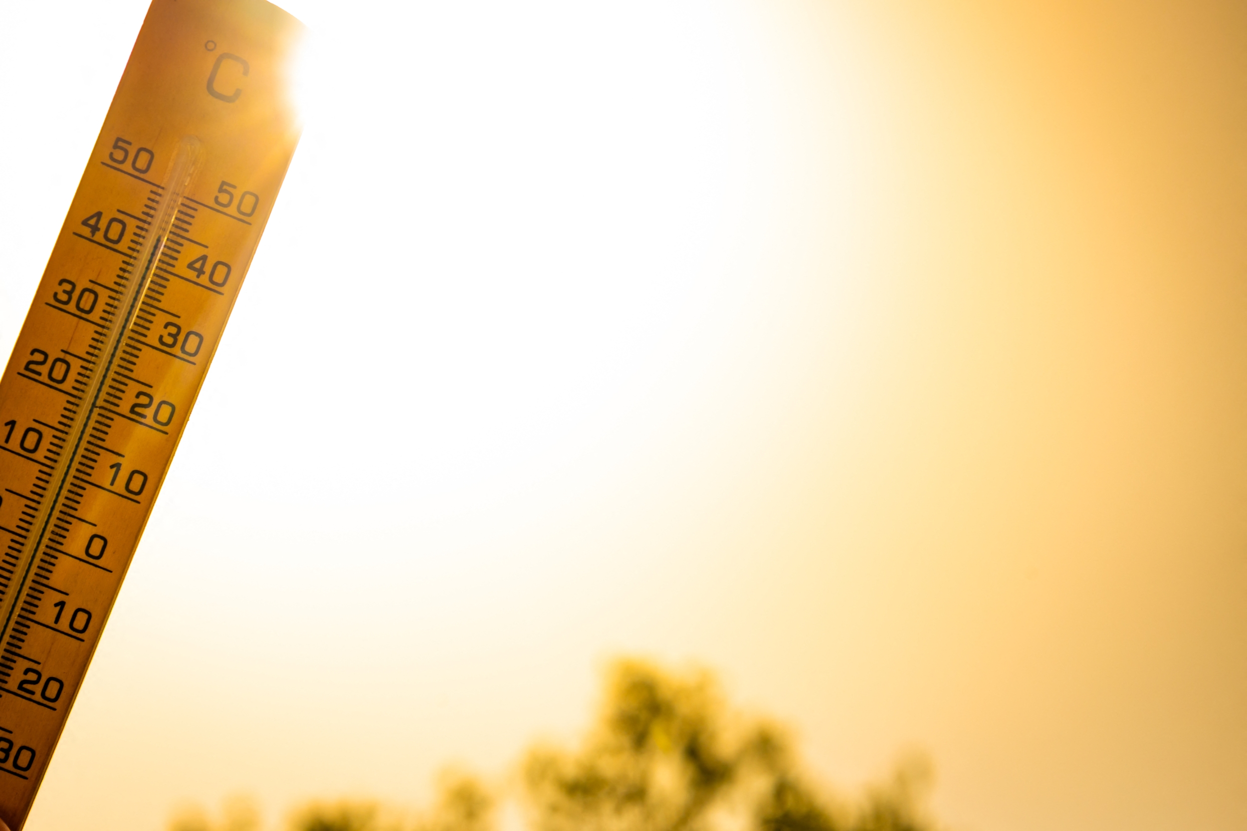 Climate and mental health research connecting extreme heat to psychiatric hospitalizations.