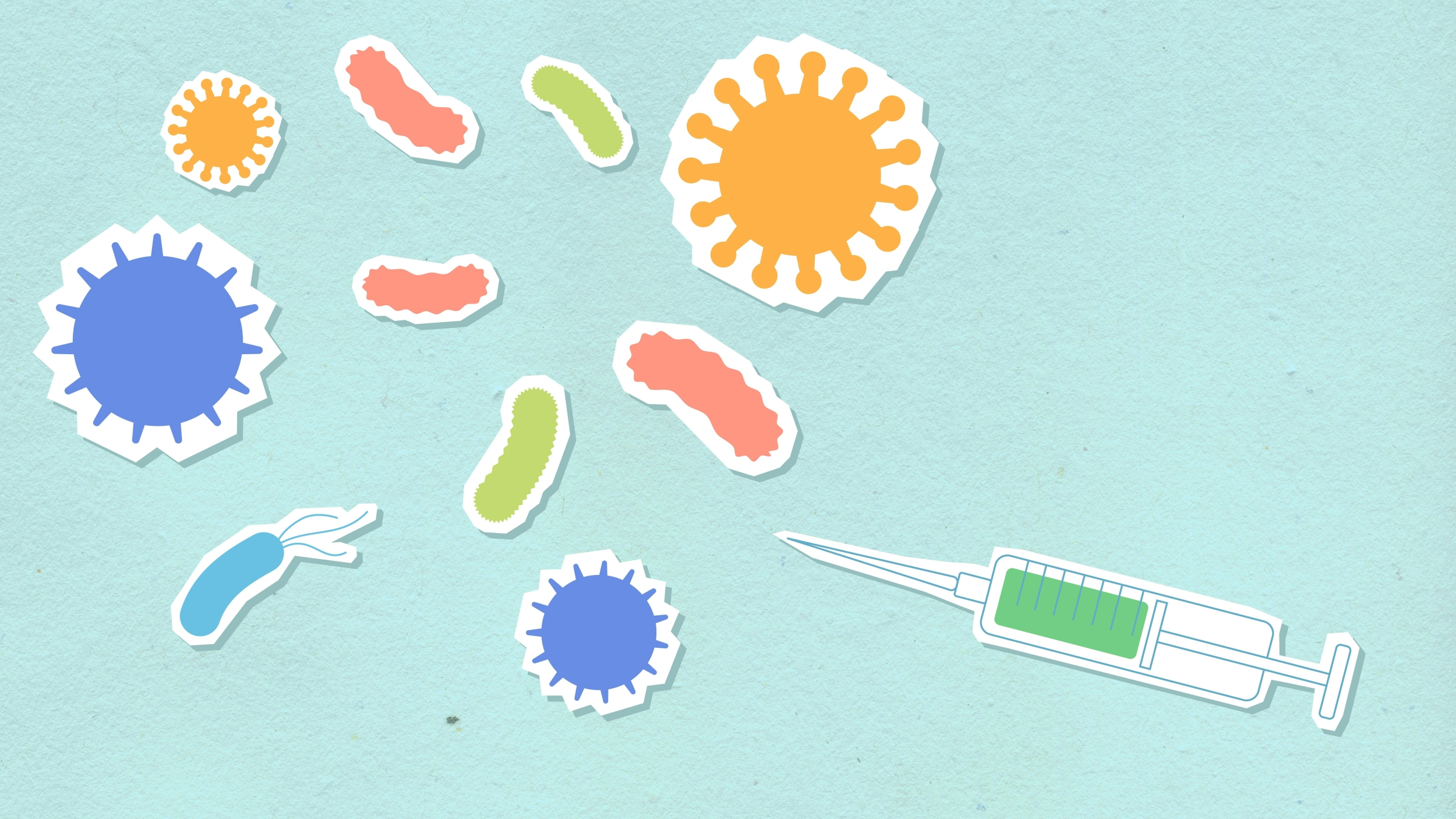 Research on reversing liver aging via young gut bacteria