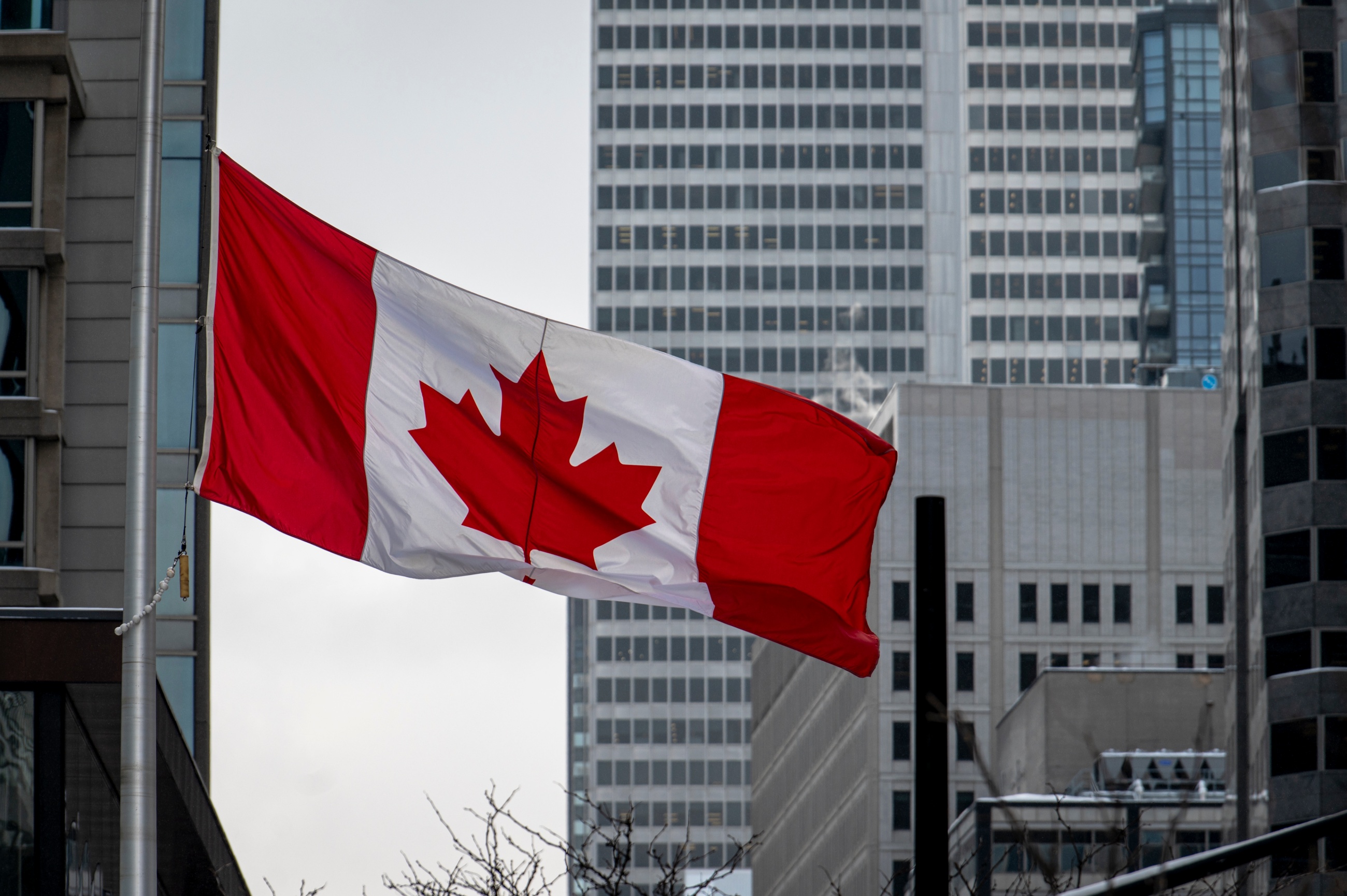 Canadian Flag in Montreal representing the new federal VC strategy
