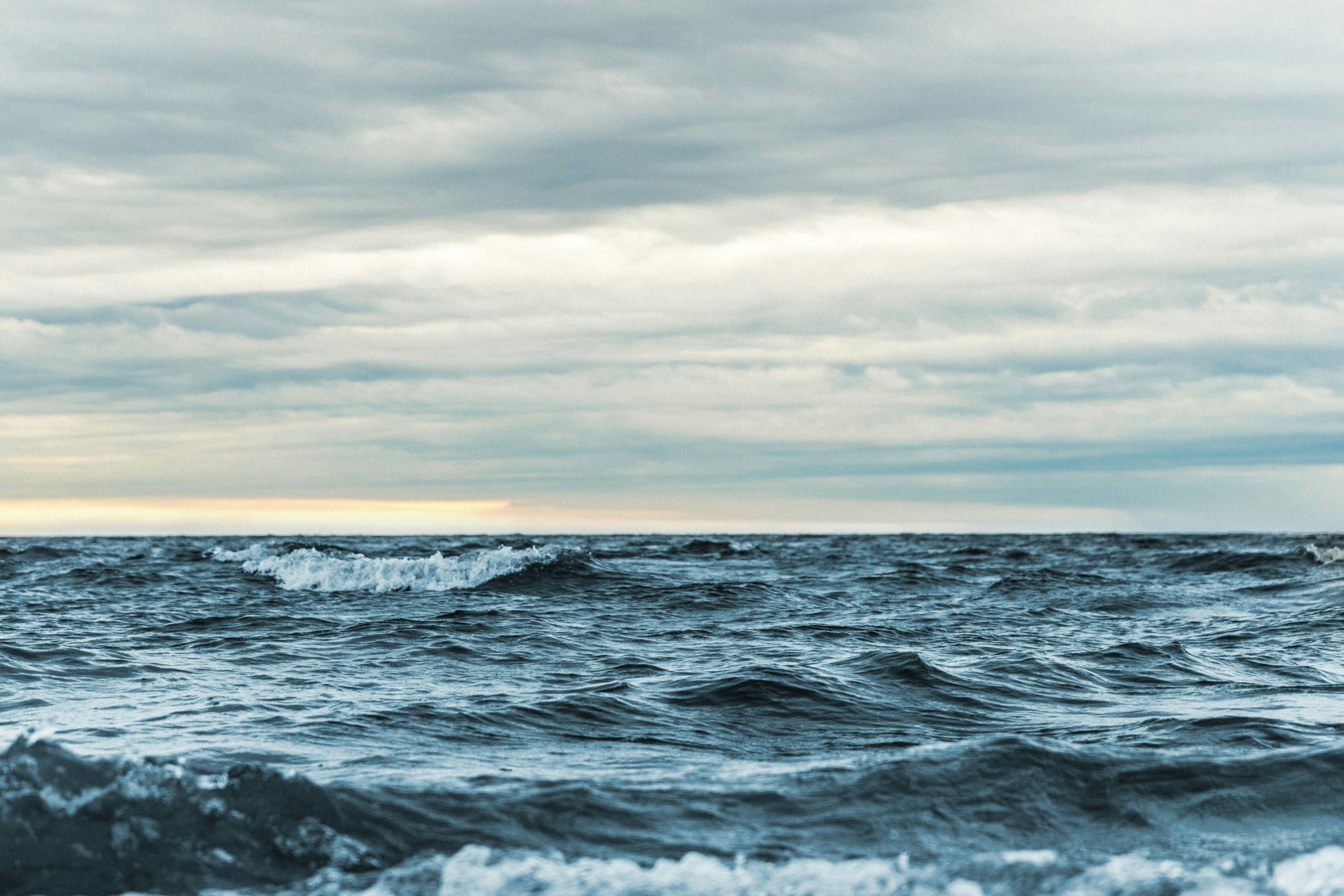Global ocean heat shattering records in August
