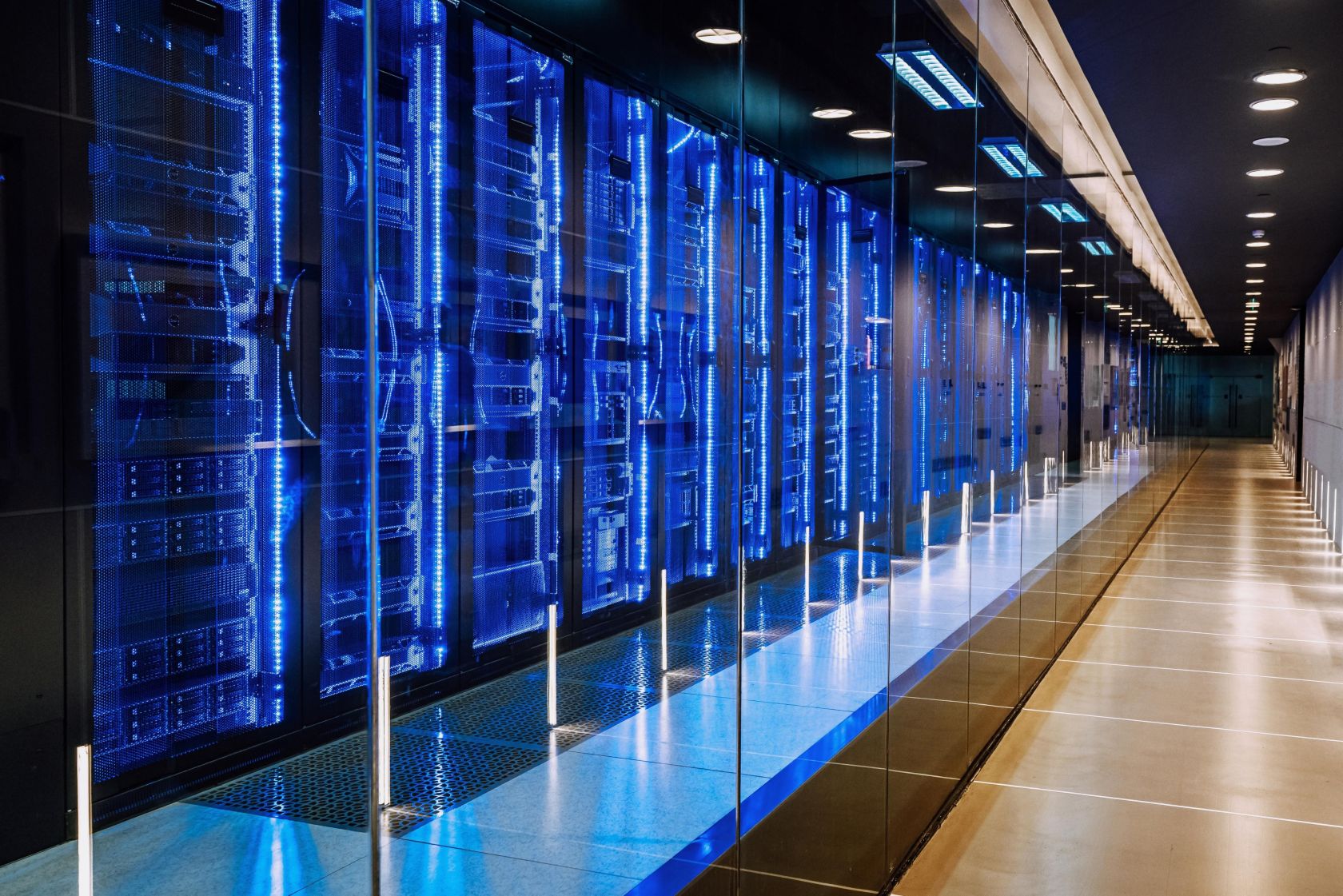 Server room infrastructure representing digital capital concepts