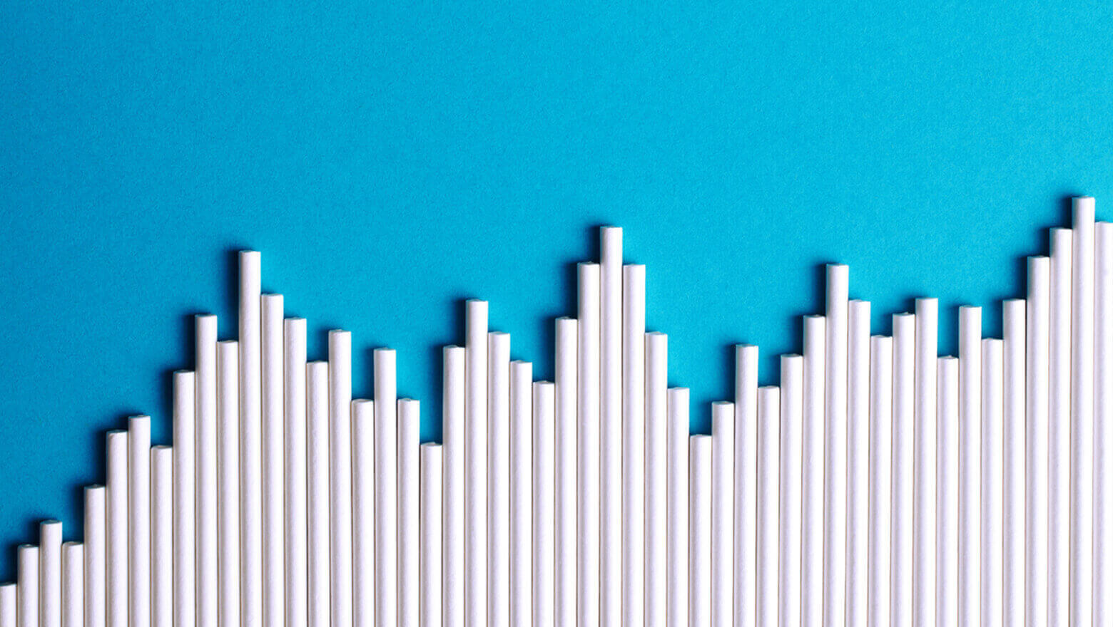 A financial bar graph showing comparative performance and dividend yields across portfolio options