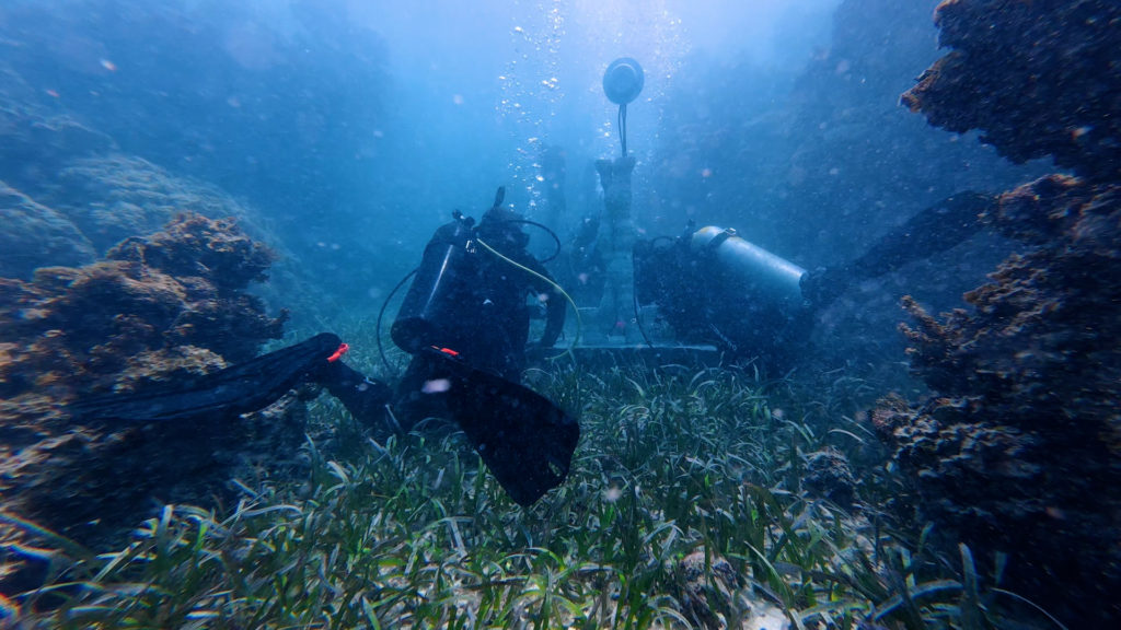 Underwater speaker reef restoration technique being tested on damaged coral reefs