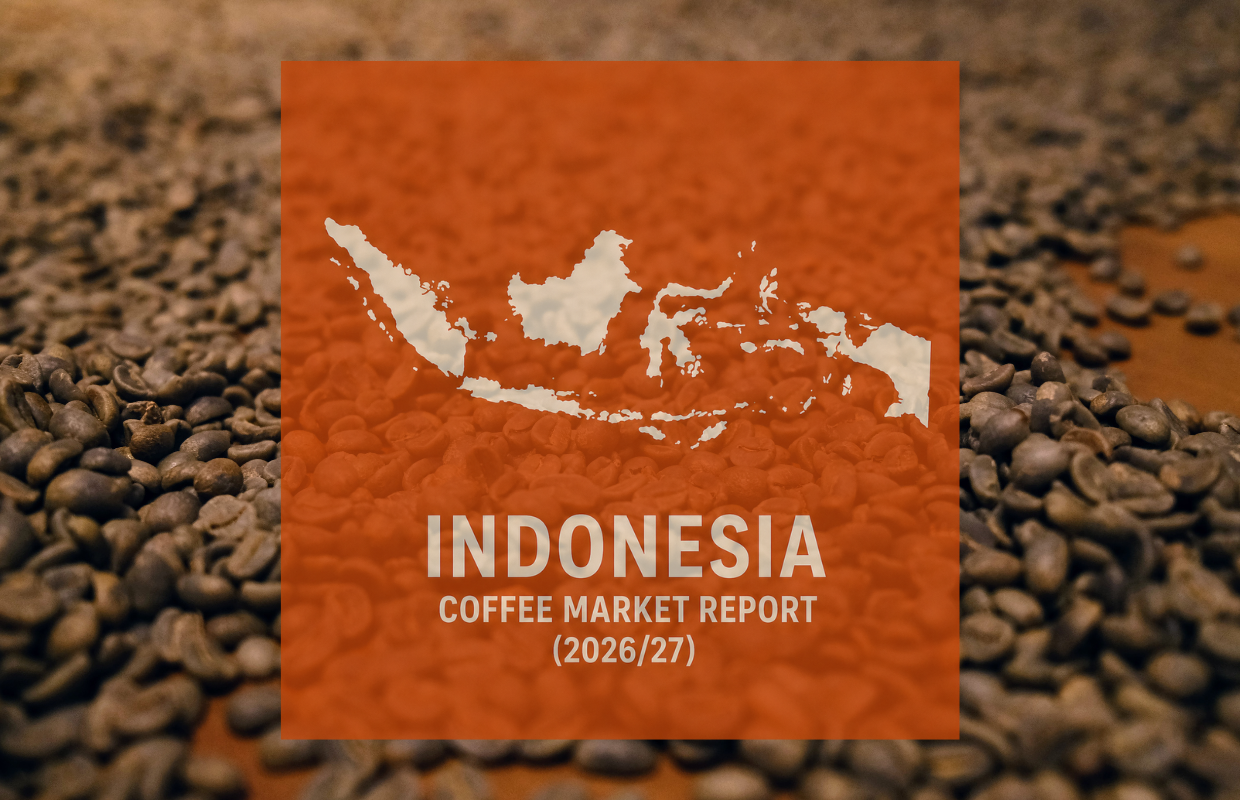 Indonesian coffee farm affected by rainfall damage