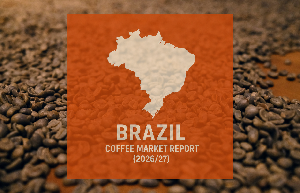 Brazil coffee harvest in full production during 2026 season