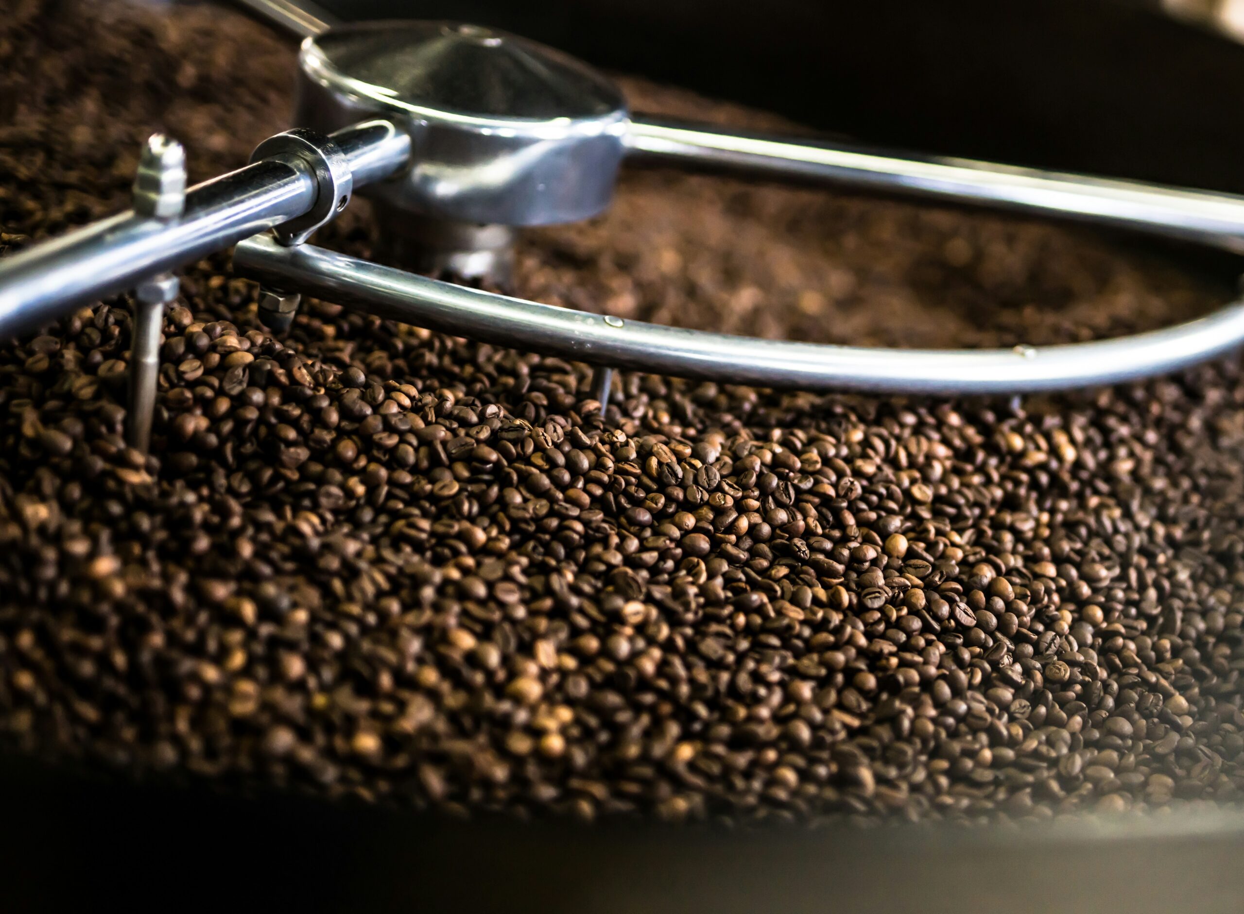 Award-winning specialty coffee from the 2026 Good Food Awards celebration