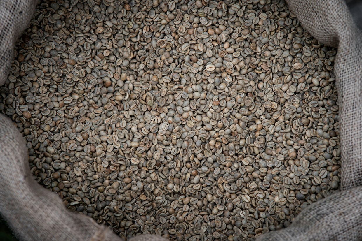 Coffee supply chain transparency analysis