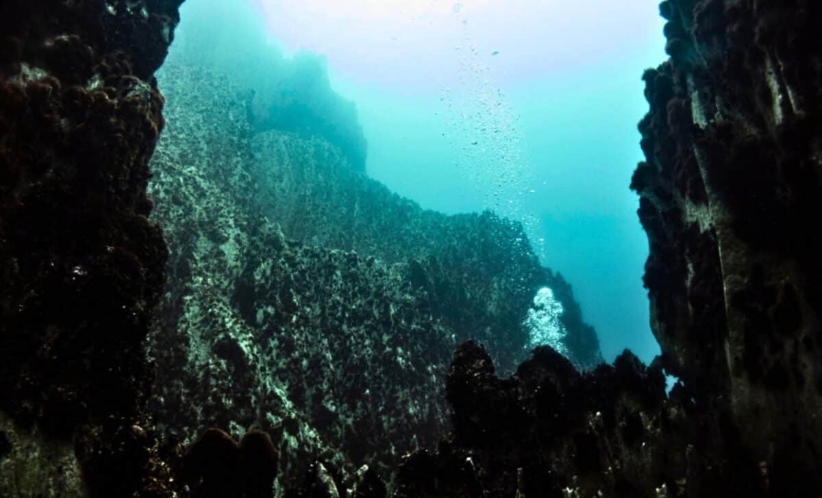 Deep ocean floor ecosystem discovered beneath the seafloor crust