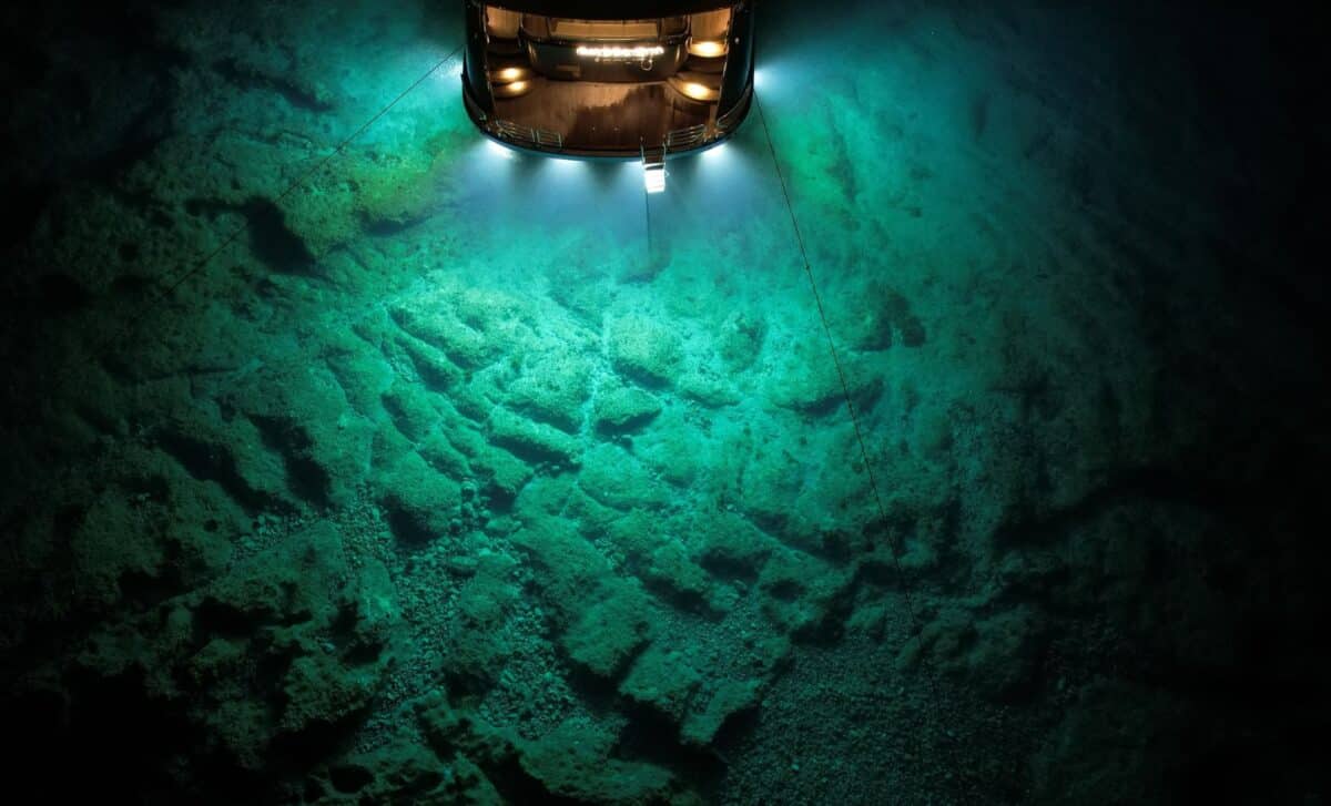 Submersible exploration revealing extraordinary concentration of whale fossils on the deep ocean floor