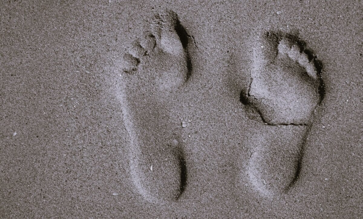 Ancient footprints reveal early human cooperation