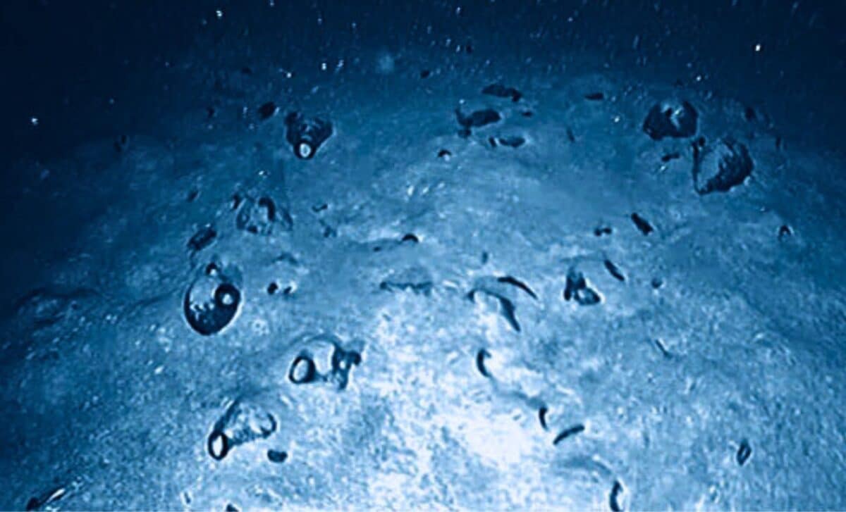 Deep-sea shipwreck with Canaanite amphorae