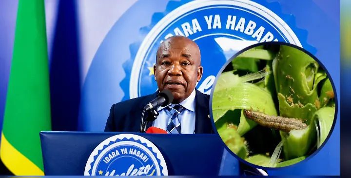 Tanzania Crops