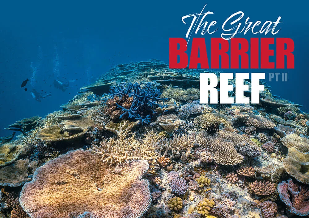A vibrant section of the Great Barrier Reef — new research into coral symbiosis and heat-resistant algae is central to Australia's Reef 2050 conservation strategy