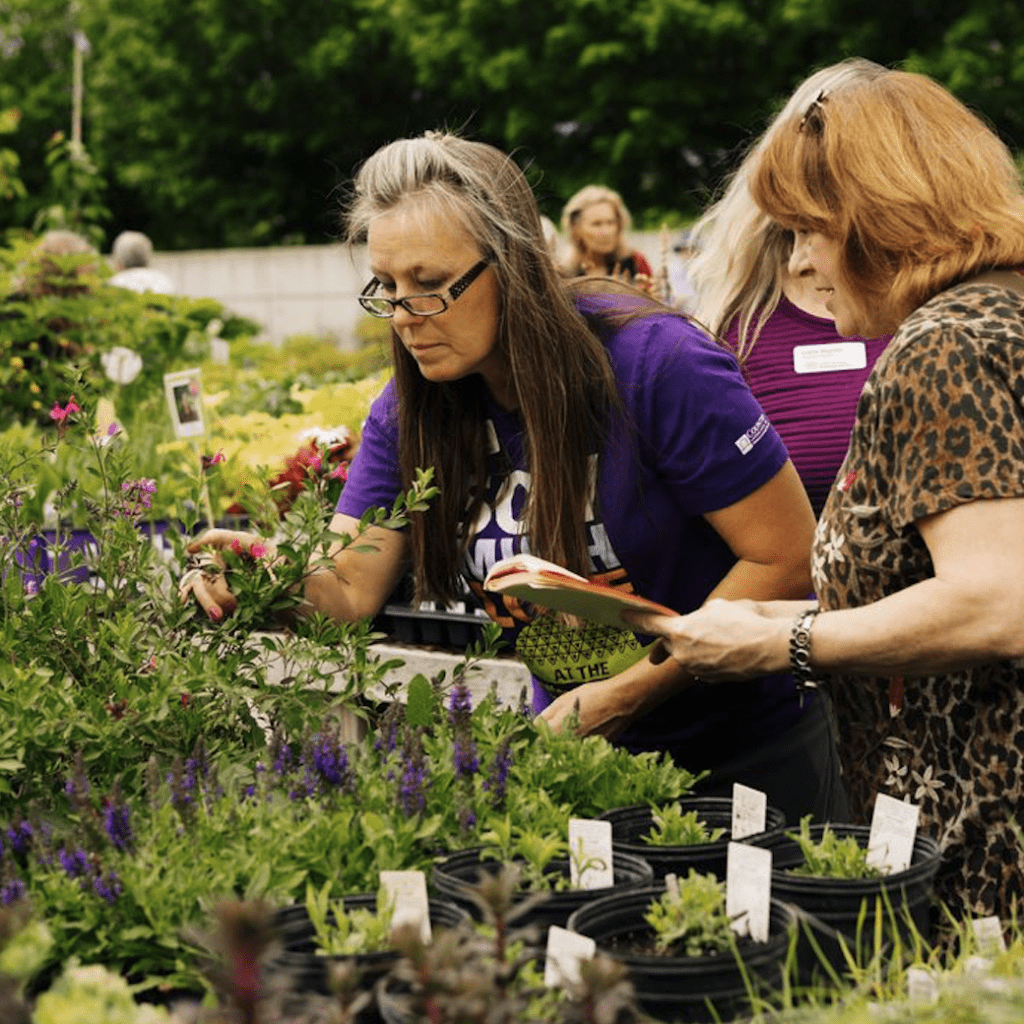Screenshot from the Greater Des Moines Botanical Garden Spring Garden Market