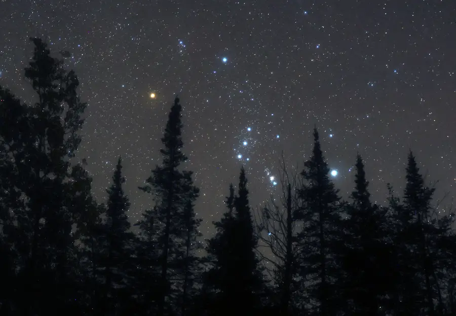 Orion constellation rising above trees with meteor trails visible