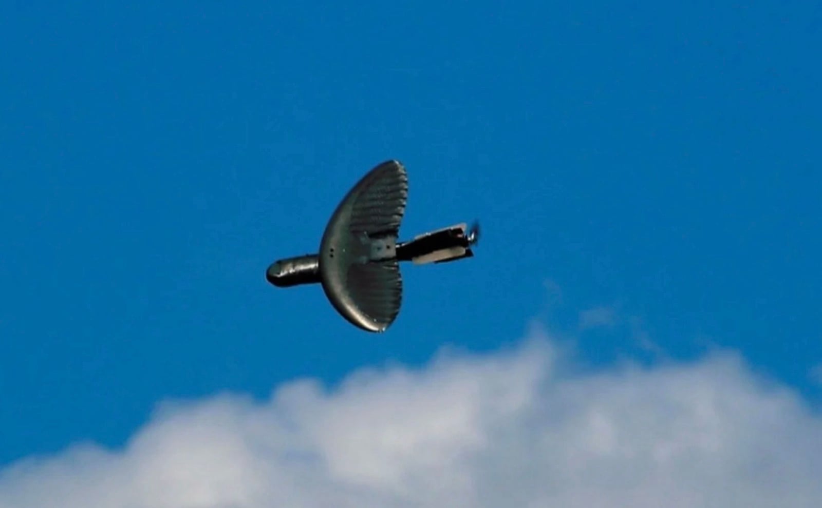 IARPA biodegradable drone propulsion concept
