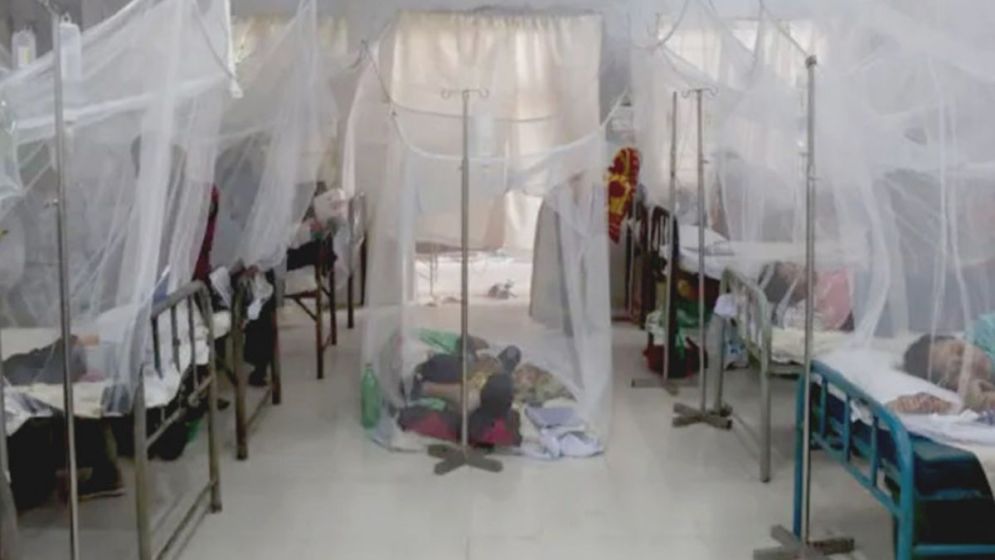 Dengue vector control activity