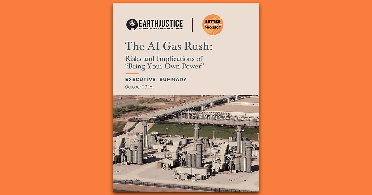 Cover of Earthjustice report on AI gas rush risks