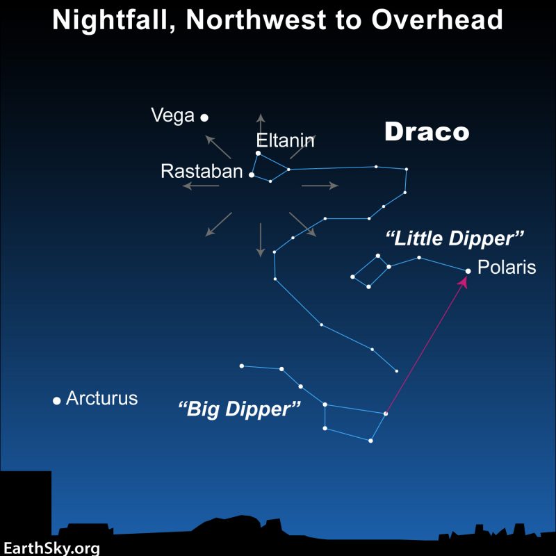 Draconid radiant region in Draco, near the Big and Little Dippers