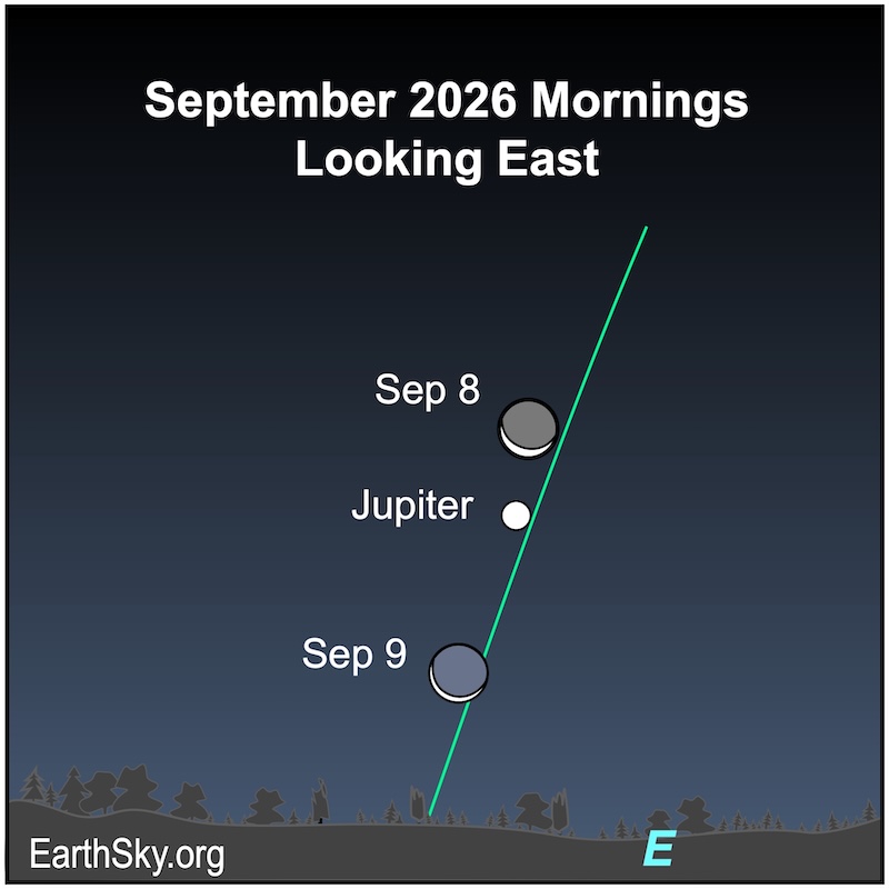Waning crescent moon near Jupiter in the morning sky