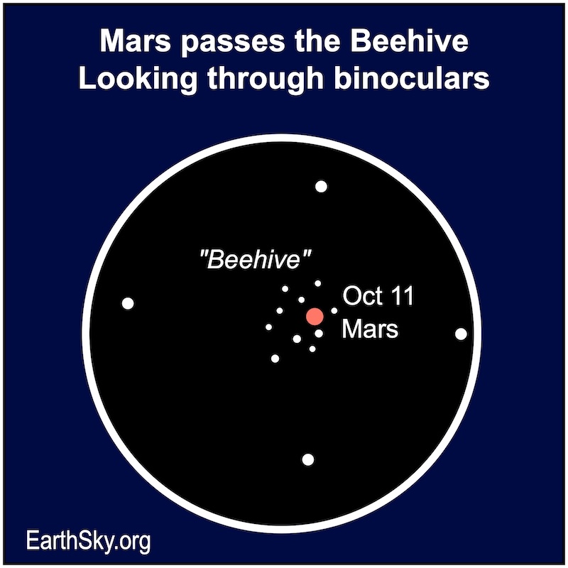 Mars near the Beehive Cluster