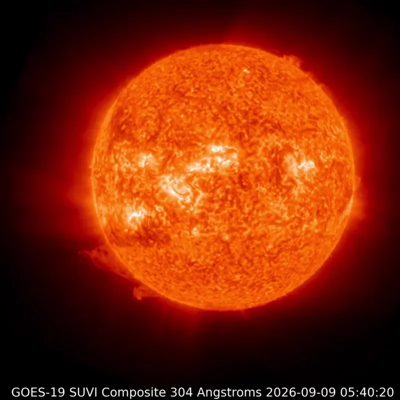 Synchronized solar prominences observed on September 9