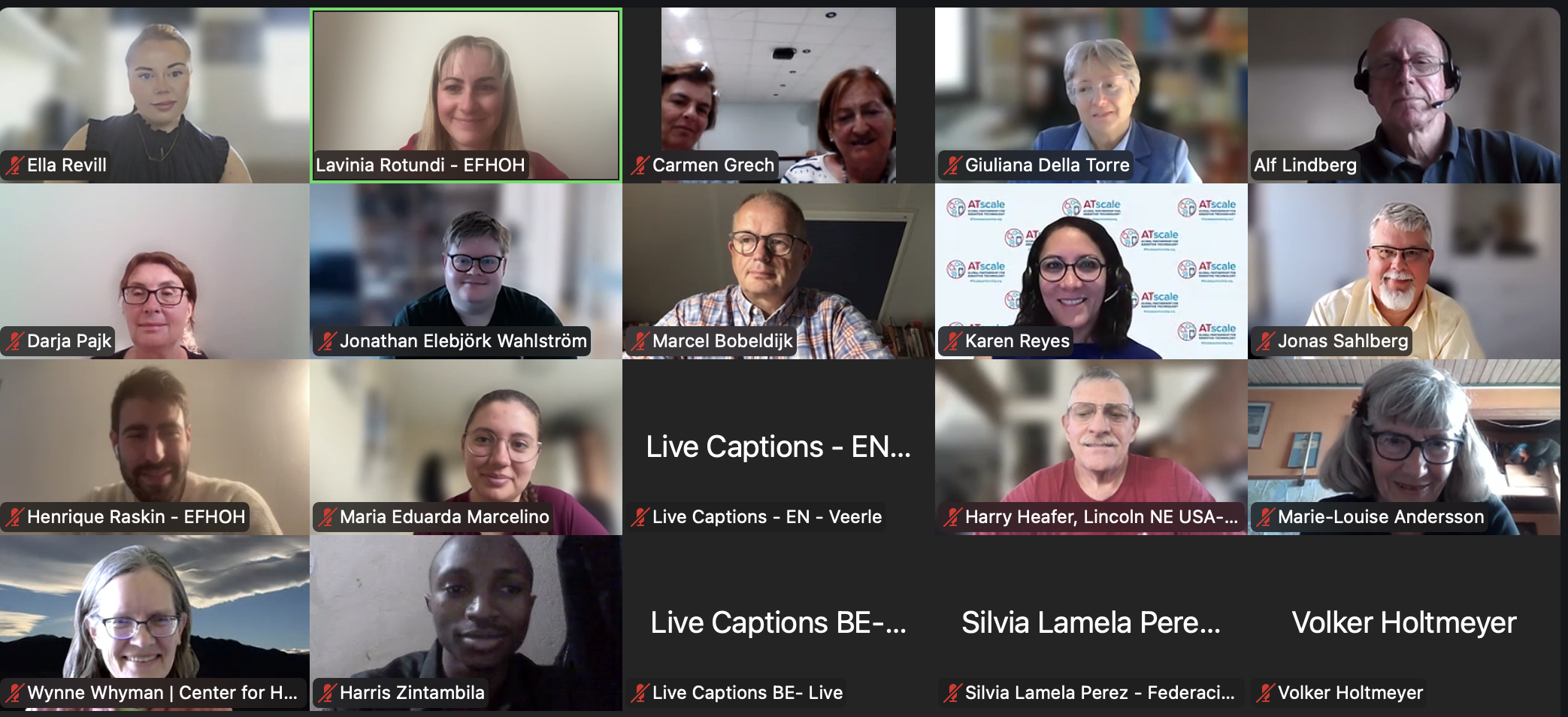 EFHOH World Assistive Technology Day webinar screenshot