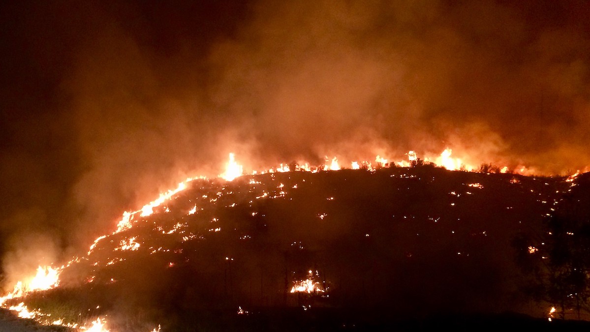 Wildfire and climate extremes visualization — Arctic sea ice and wildfire records already broken in 2026