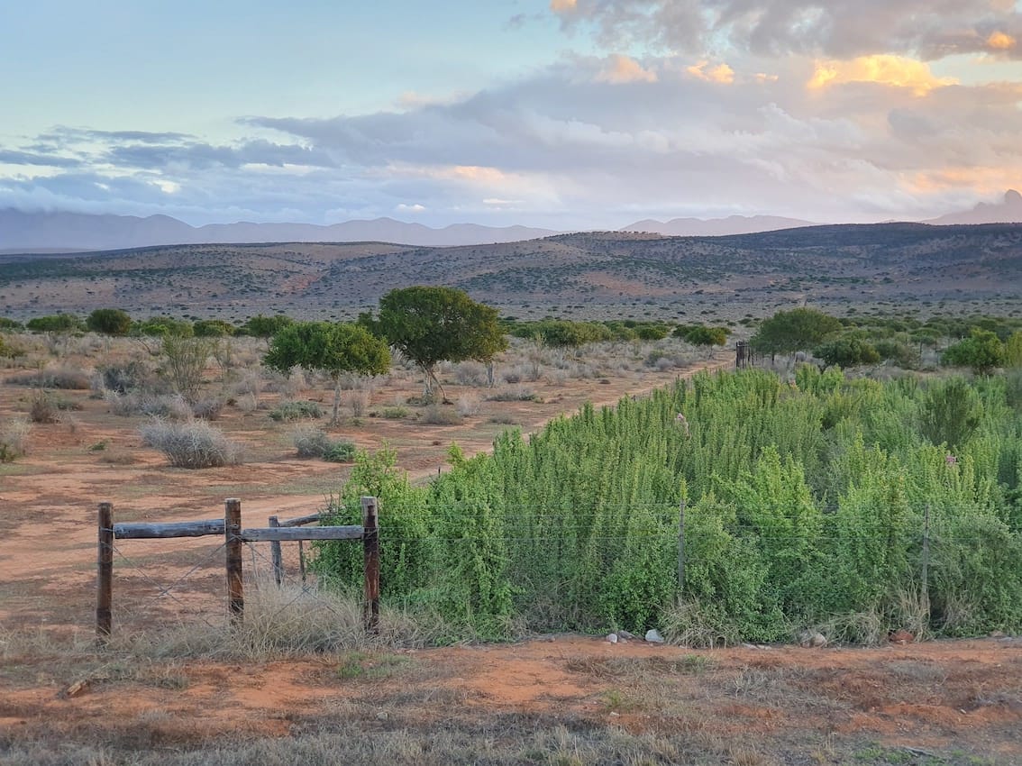 Imperative Spekboom Ecosystem Restoration Project - ESG News