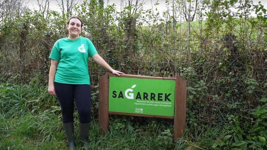 Sagarfest orchard event in Gipuzkoa