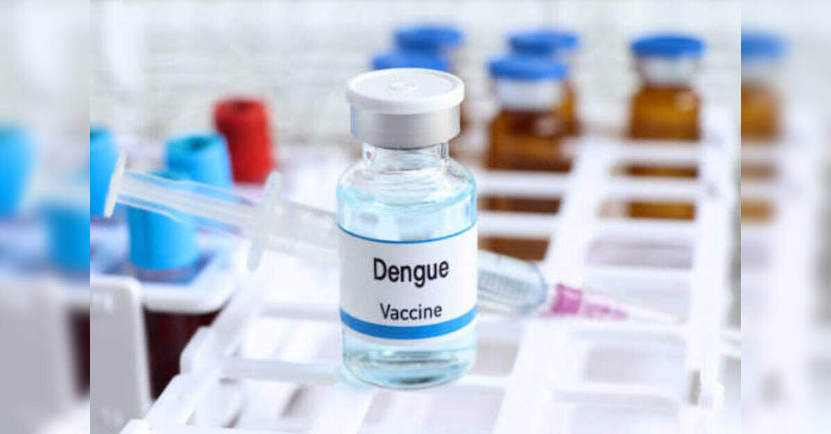 Dengue vaccine concept