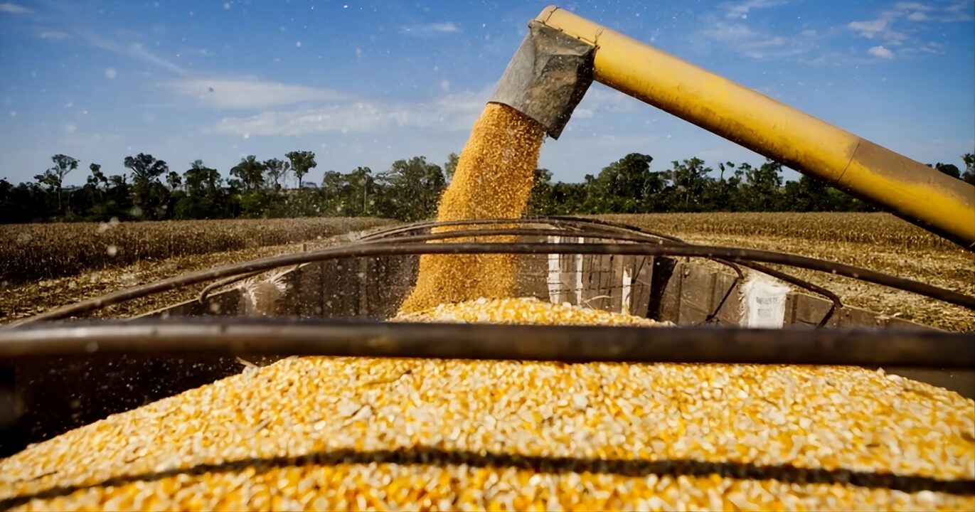 Brazilian grain exports growing through July