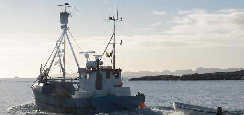 Fishing vessel in Greenlandic waters