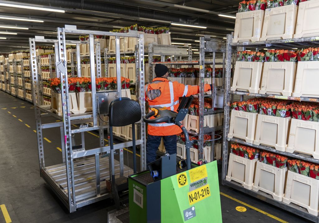 Screenshot of Royal FloraHolland's central processing facility